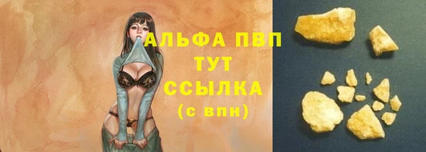 гидра Инсар
