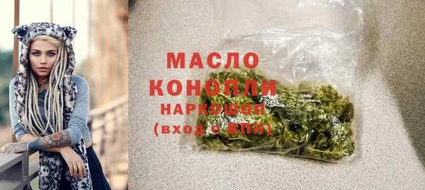 гидра Инсар