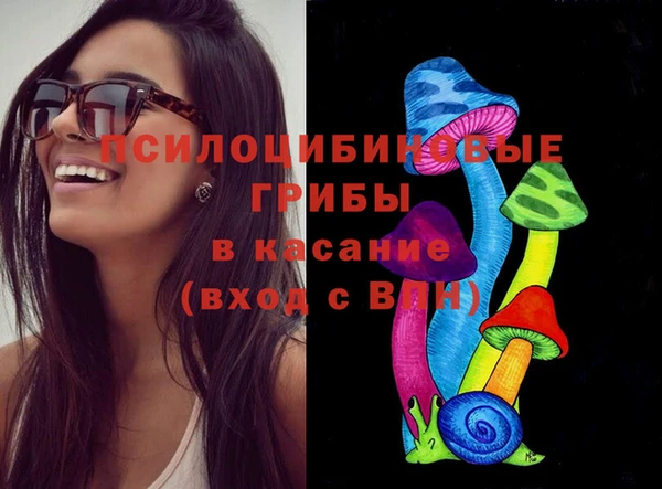 гидра Инсар