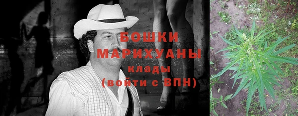 гидра Инсар