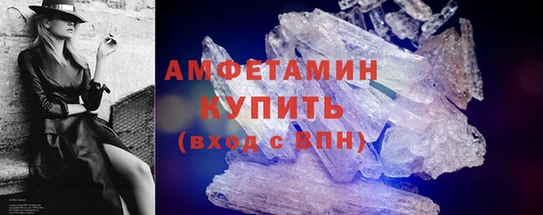 гидра Инсар
